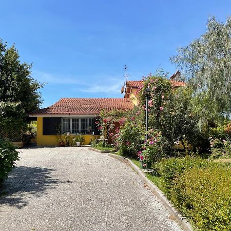 Home Sweet Home Gallicano nel Lazio Ngoại thất bức ảnh
