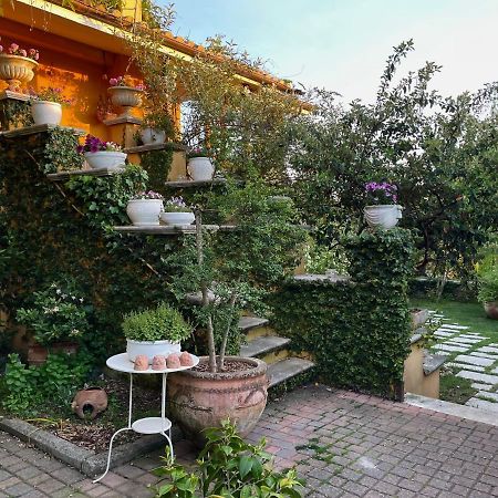 Home Sweet Home Gallicano nel Lazio Ngoại thất bức ảnh