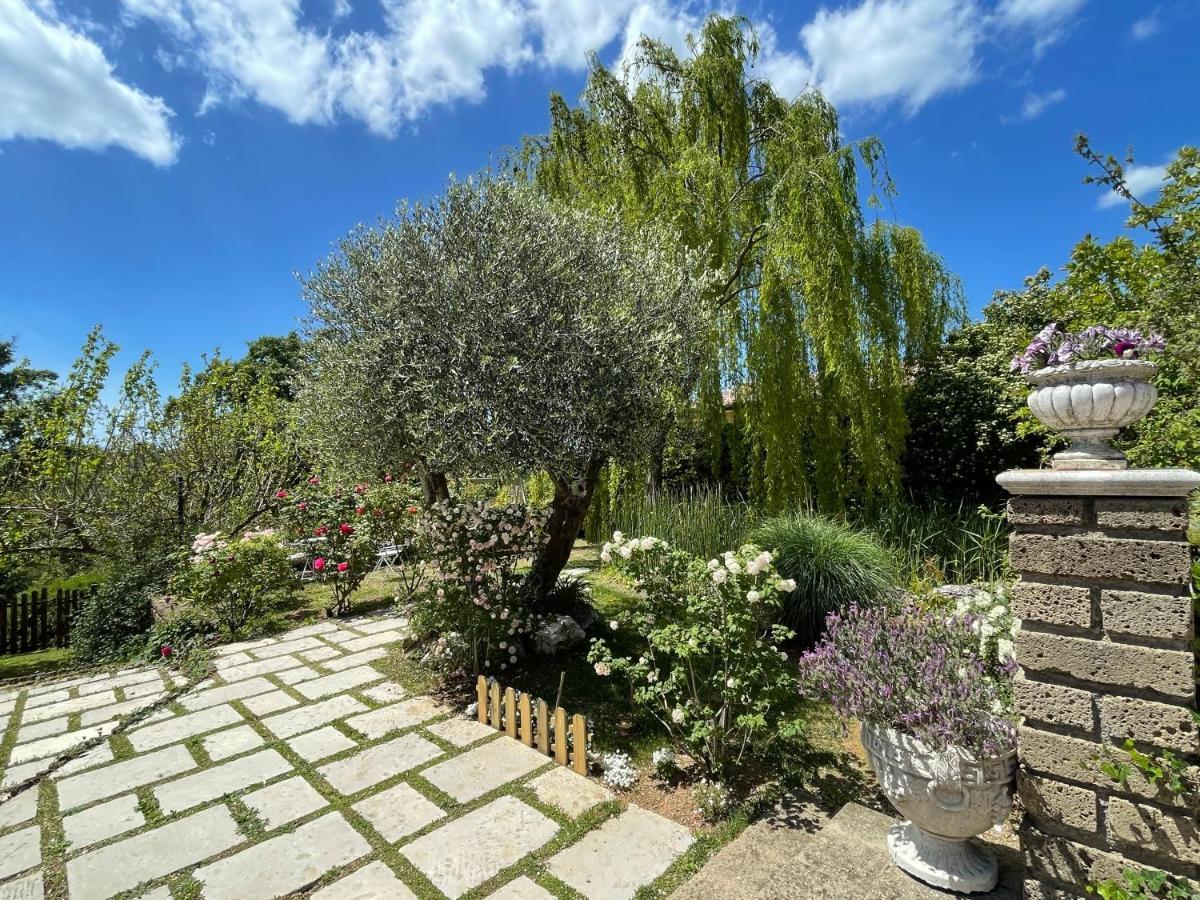 Home Sweet Home Gallicano nel Lazio Ngoại thất bức ảnh