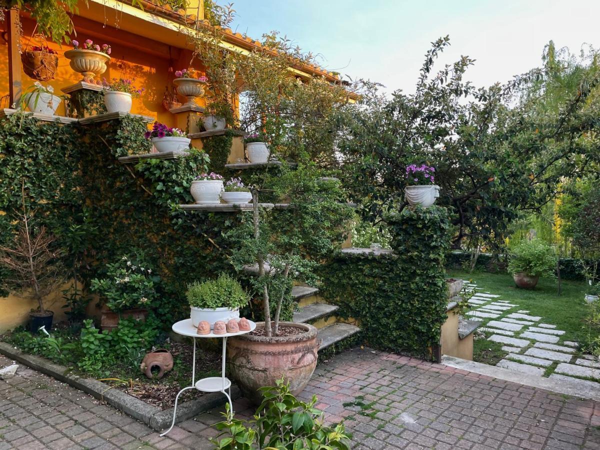 Home Sweet Home Gallicano nel Lazio Ngoại thất bức ảnh